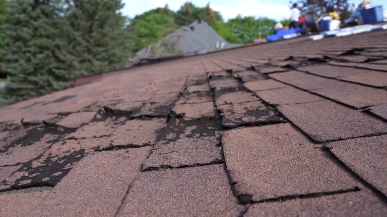 Best Sheet Metal Roofing  in Oakwood, IL