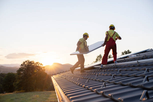 Best Steel Roofing  in Oakwood, IL
