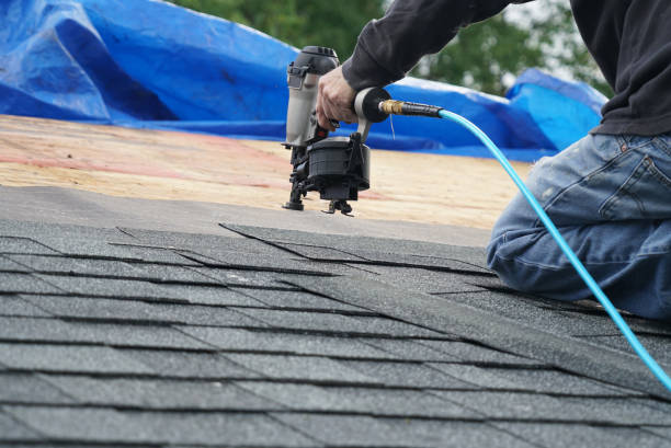 Best Rubber Roofing (EPDM, TPO)  in Oakwood, IL