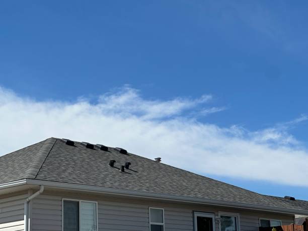 Best Gutter Installation and Repair  in Oakwood, IL